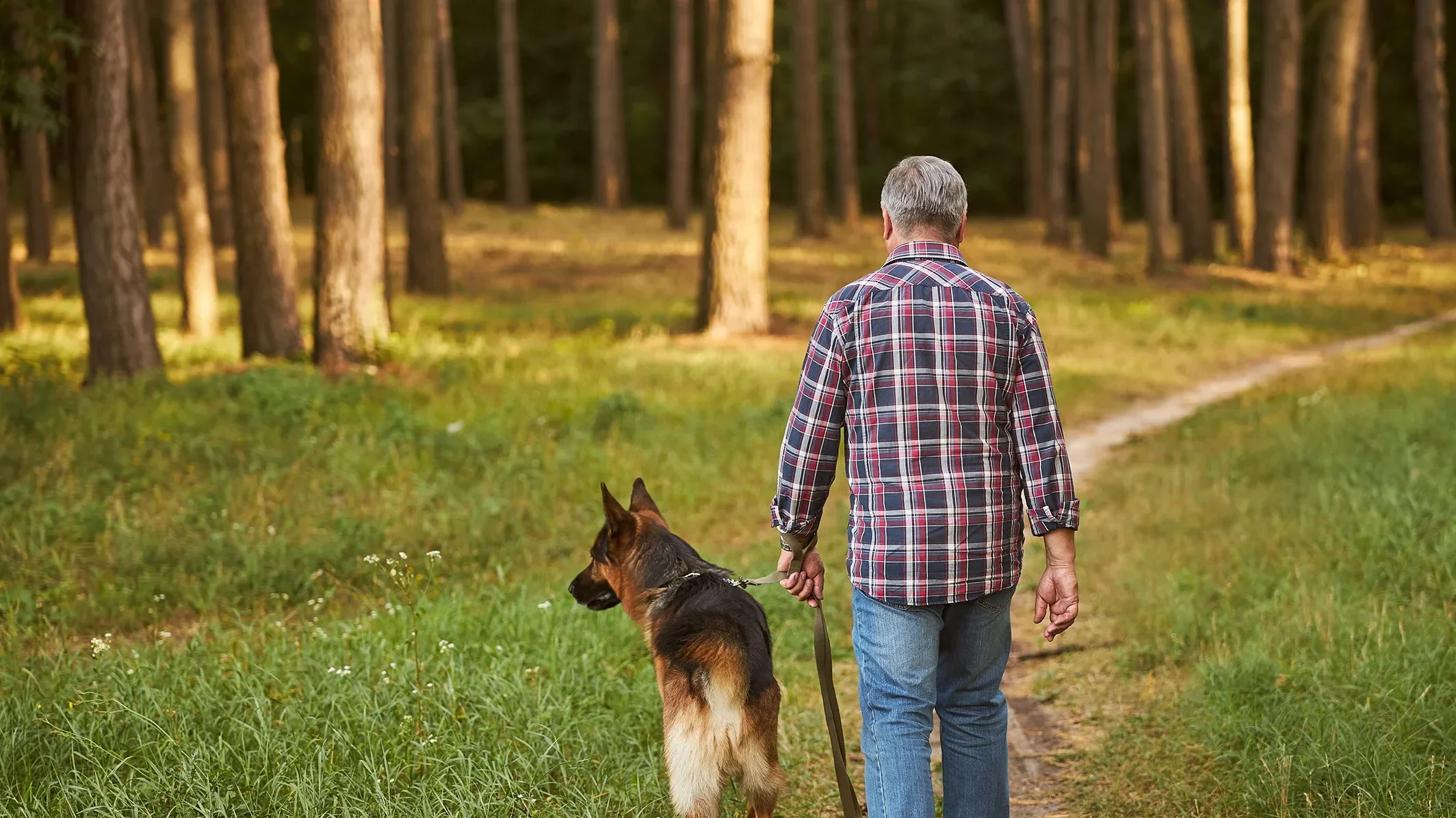 Pet owner walking a dog, featured in the Orchard Vet Care case study